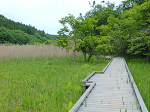 DSCN9318