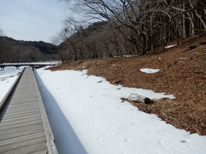 DSCN9462