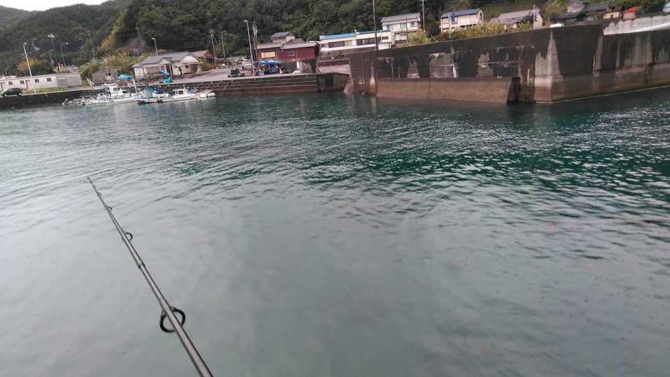 黒潮町エギング 鮎十人十色ブログ 黒潮町エギング 鮎十人十色ブログ