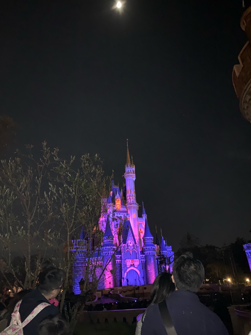 お知らせとディズニー 料理家あゆのダイエットごはん