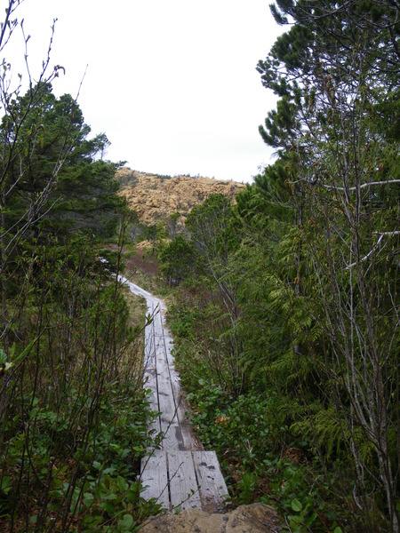 IMGP6383