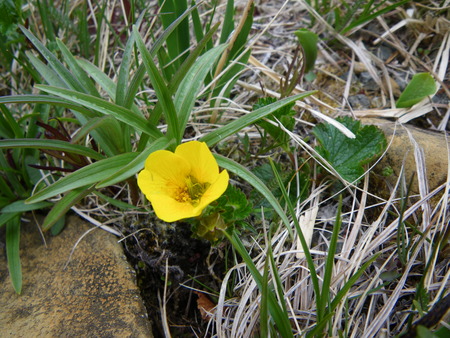 IMGP6389