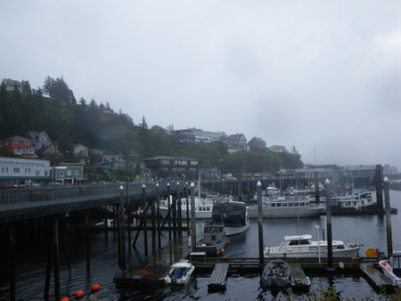 IMGP6426