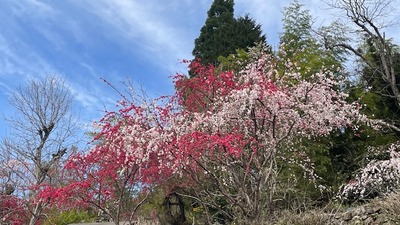 roku4-13-18