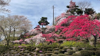 roku4-13-6