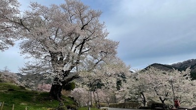 roku4-13-10