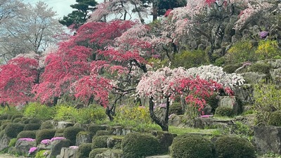 roku4-13-16
