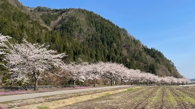 futu8