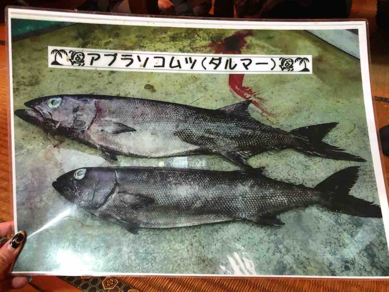 南大東島で自己責任で食べる幻の深海魚を食べてきた 割烹 喜作 で最高の料理を あゆ姫食い倒れ放浪記