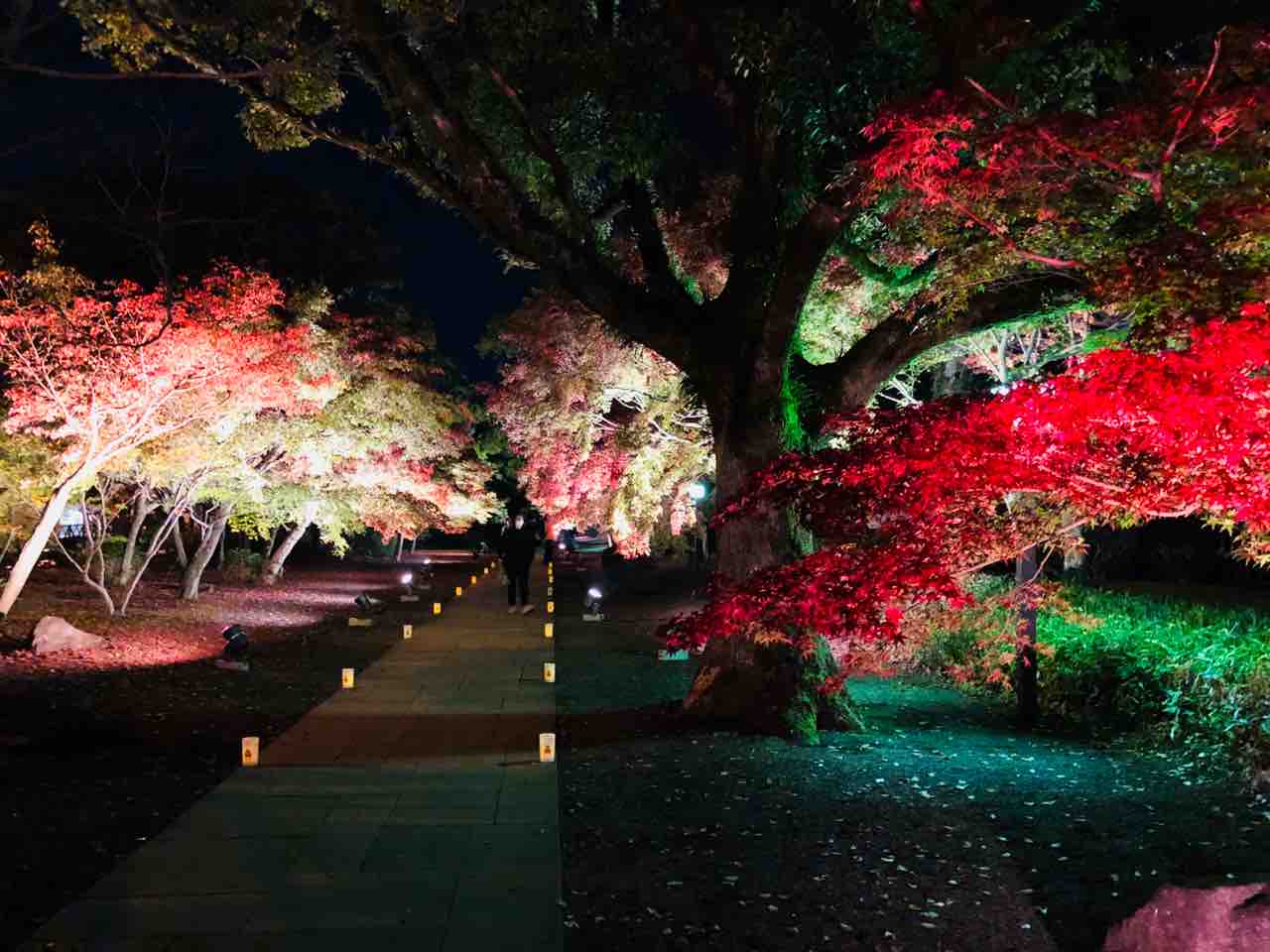 旧細川刑部邸ライトアップ あゆ姫食い倒れ放浪記