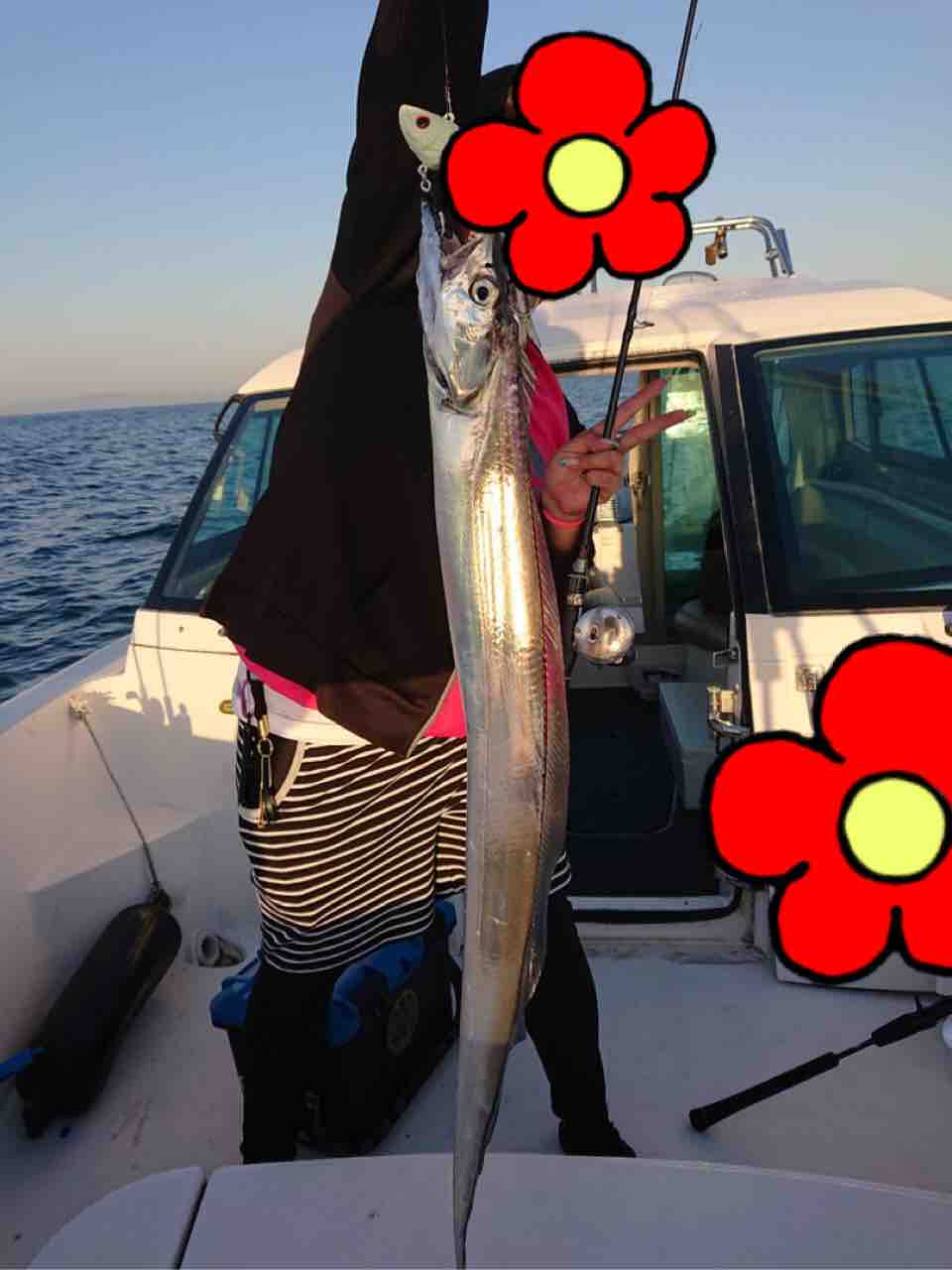天草の海で釣り三昧 季節外れの太刀魚釣り 大漁 大漁 あゆ姫食い倒れ放浪記 天草の海で釣り三昧 季節外れの太刀魚釣り 大漁 大漁 あゆ姫食い倒れ放浪記