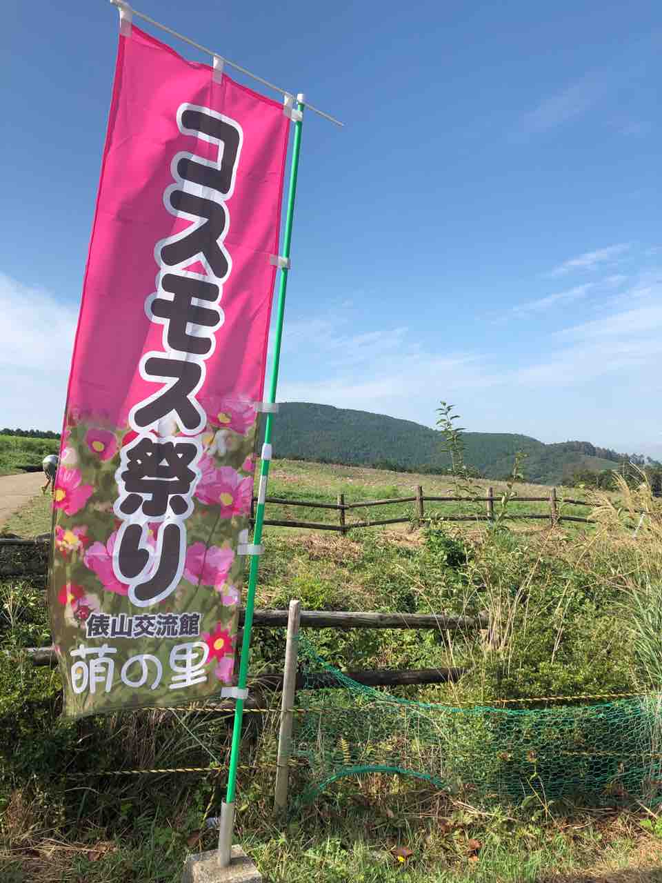 萌の里でコスモス祭りが開催中 阿蘇から馬見原をぐるっと１周の旅 あゆ姫食い倒れ放浪記