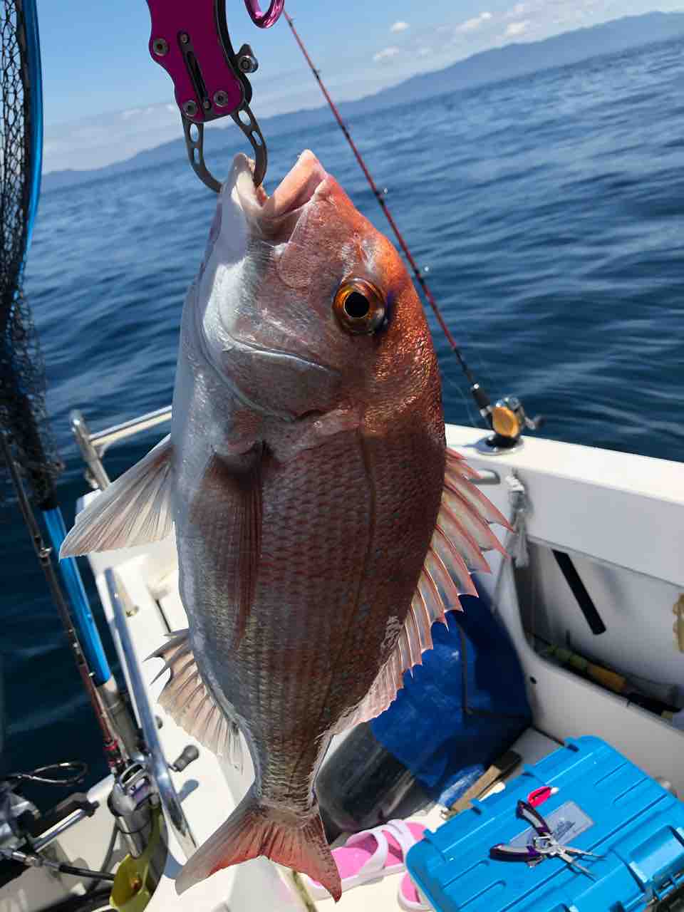 天草お泊り釣り記録 2日目はのんびり海を感じる1日 おだやかな1日でした あゆ姫食い倒れ放浪記