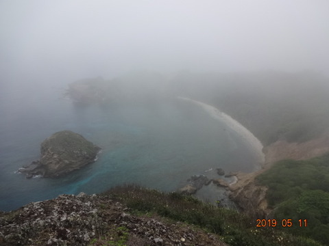 DSC03986
