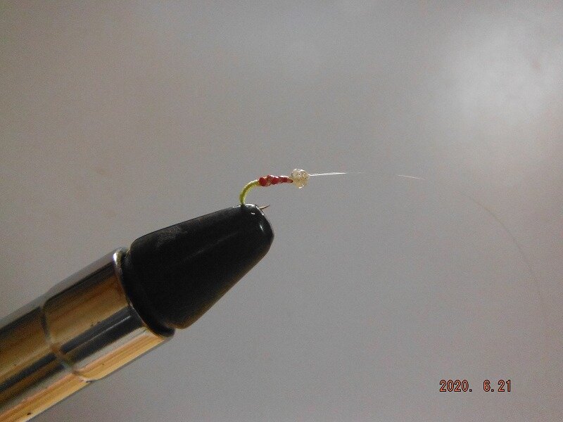 チンチン釣りで４３匹 : 鮎地蔵のブログ