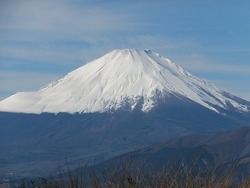 27
