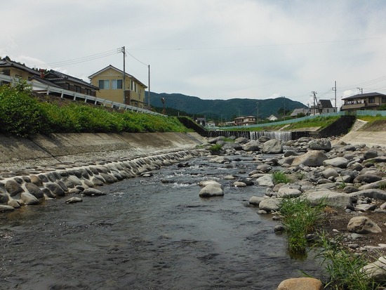 今期最高の５２匹で絶好調 : 鮎地蔵のブログ - Vimarsana News