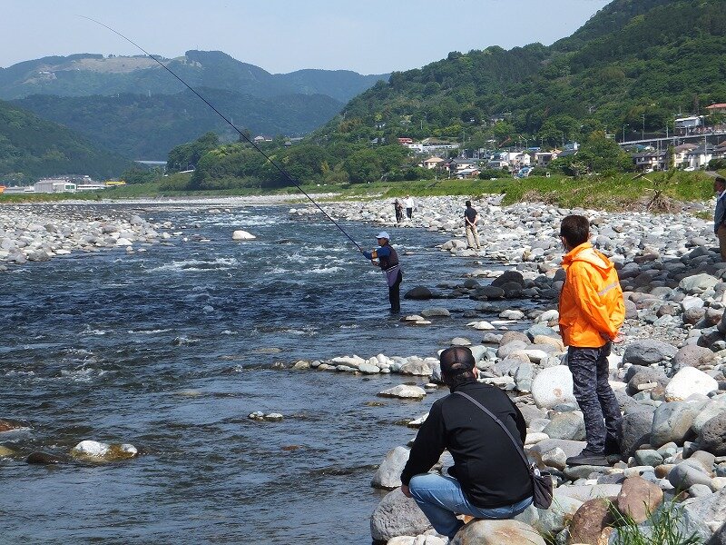 2020酒匂川鮎の試し釣り 鮎地蔵のブログ 2020酒匂川鮎の試し釣り 鮎地蔵のブログ