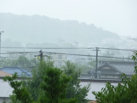 P1050265