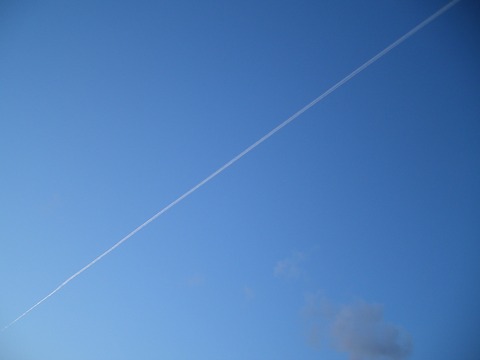 P110017513
