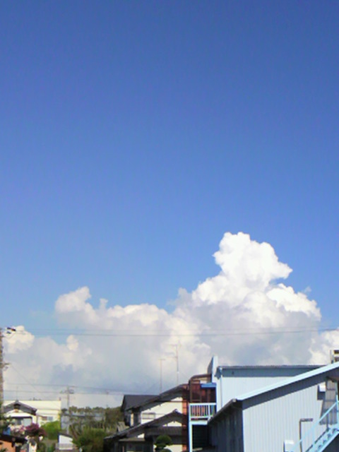 P1000448