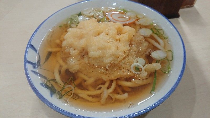 小矢部川 3 鮎活してます