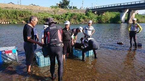 小矢部川 1 尺アユ釣り大会 鮎活してます