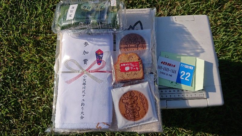 小矢部川 1 尺アユ釣り大会 鮎活してます