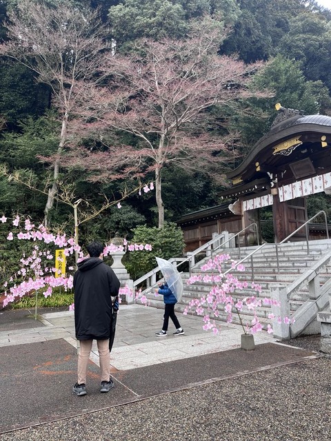 bf597226-1b31-46fa-b617-d27f8c602b82