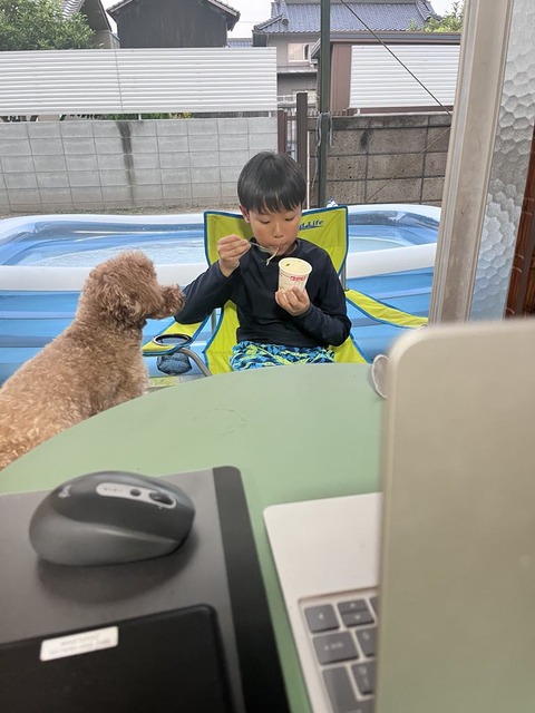 ea702c94-f3d1-4309-a29c-ff74e776e8a4