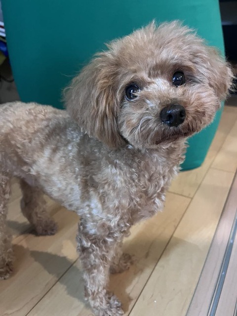 e10068d2-ee01-481a-95db-d99b7a91acc4