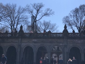 IMG_3396