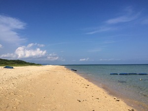 IMG_6119