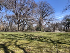 IMG_3375
