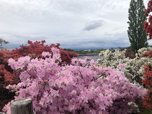 IMG_1724