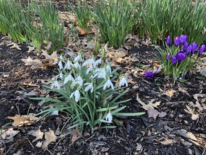IMG_3393