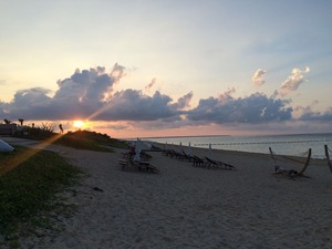 IMG_6144