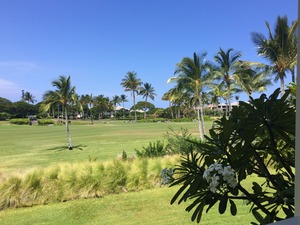 IMG_7501