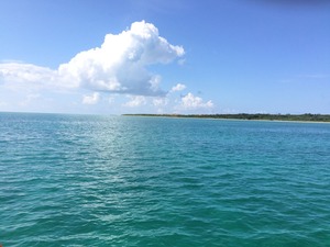 IMG_6191