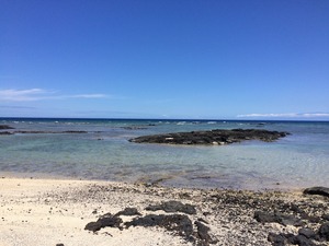 IMG_7590