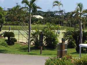 IMG_6154