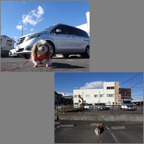 22013111