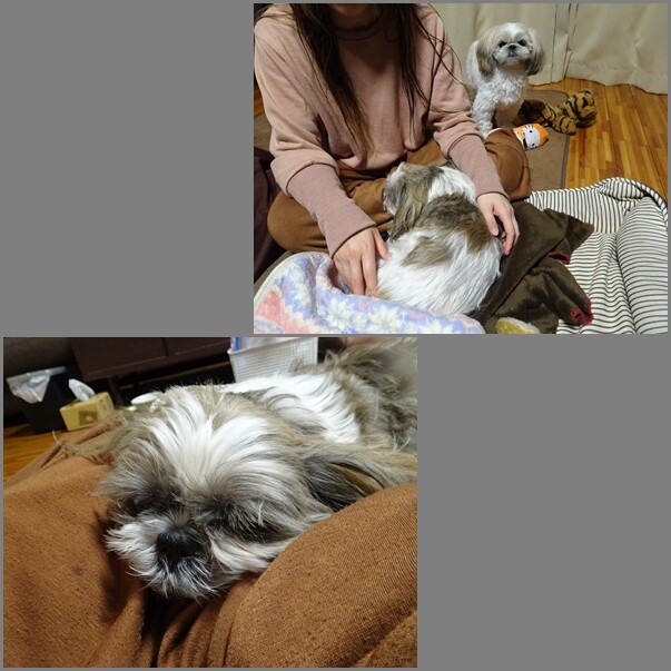 22011221