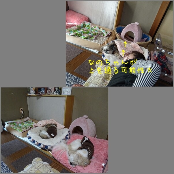 22011417