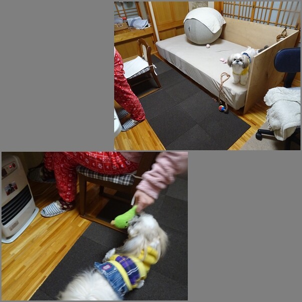 22011815
