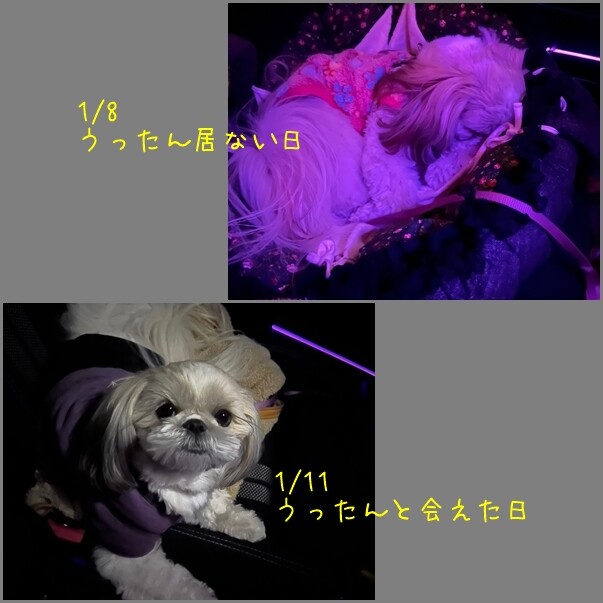 22011230