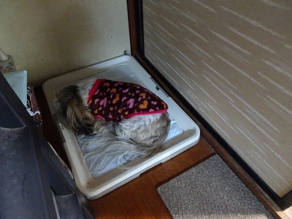 22011217