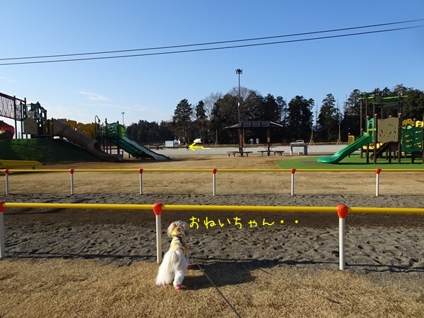 22012808