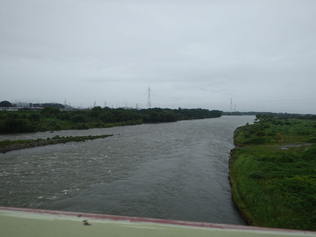 笹濁り強 鮎釣り サクラマス釣りの九頭竜川中部漁業協同組合