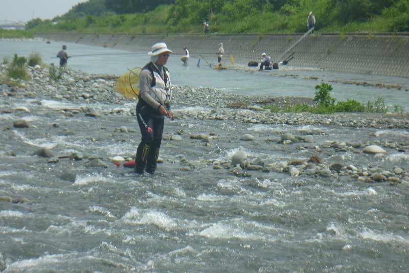 酒匂川解禁日 鮎釣りおじさん 酒匂川解禁日 鮎釣りおじさん